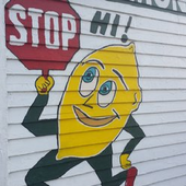 Mr. Lemon icon