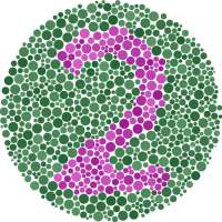 Color Blindness Test on 9Apps