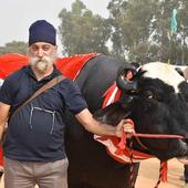 Pashumandi by Gurkirpal Singh icon