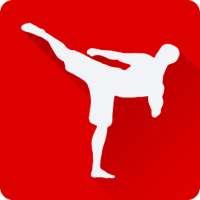 Fighting Trainer - Learn Martial Arts at Home