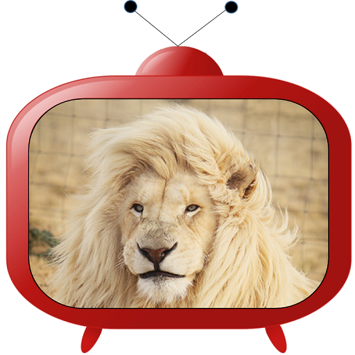 Animal documentary icon