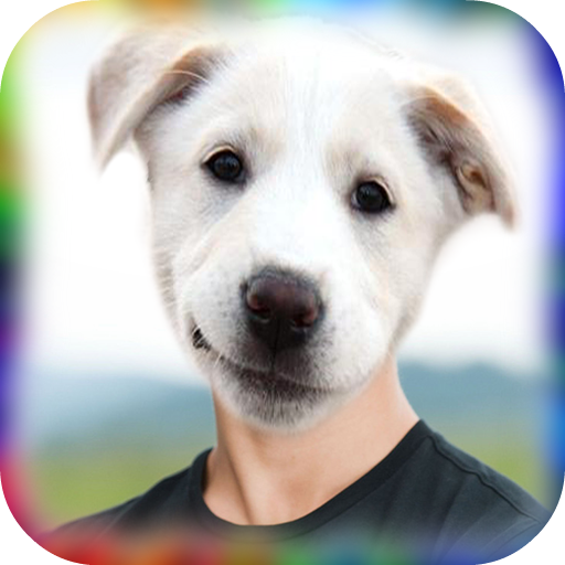 Animal Face Sticker Photo icon