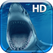 Dangerous Big Shark Live أيقونة