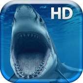 Dangerous Big Shark Live on 9Apps