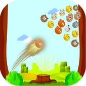 Jungle Bubble Cute Animals