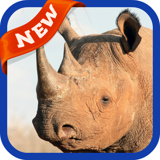 Rhinoceros Wallpaper icon