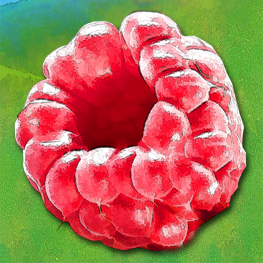 Fruits Day Mania icon