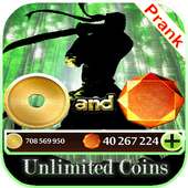 Gems for Shadow Fight 2 game prank