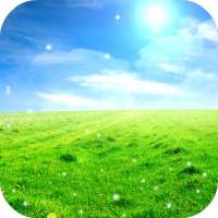 Landscape HD Video Wallpaper on 9Apps