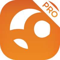 Connect To Network CNT : FREE INTERNET