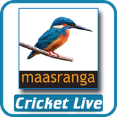 Maasranga TV Live Cricket icon