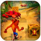 Crazy Crash Temple Adventure