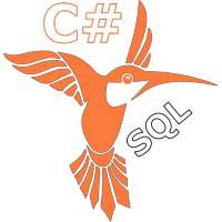 C# & SQL on 9Apps