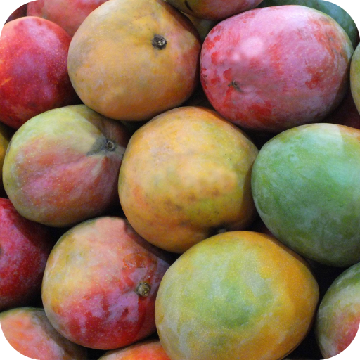Mango Wallpaper icon