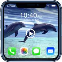 Video Live Wallpaper : Video Wallpaper