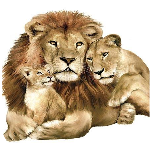 Wild Animals Wallpapers icon