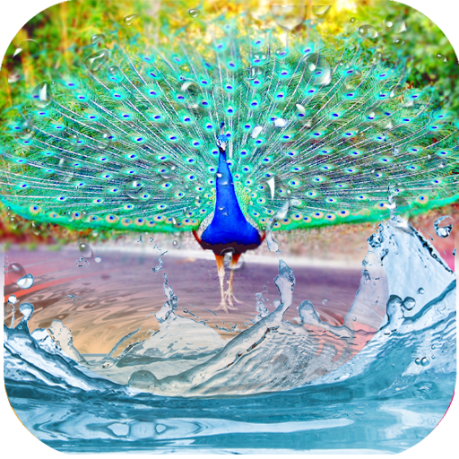 Peacock Feather Live Wallpaper icon