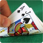 BlackJack Counting Master icon
