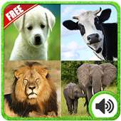 Animal Sounds (Free)