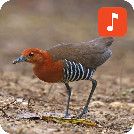Slaty-legged Crake Bird Calls icon
