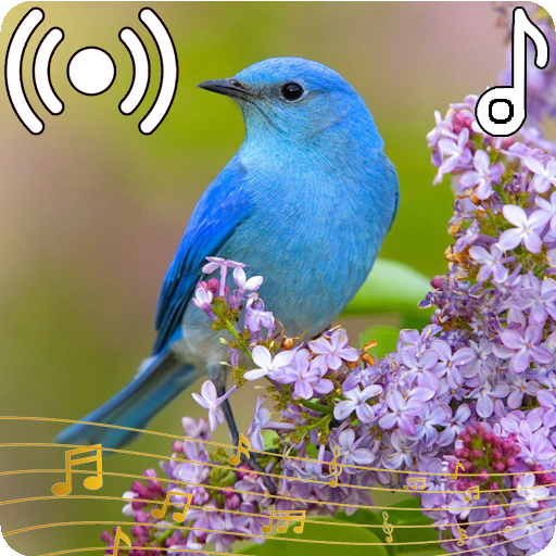 Bird Sounds Ringtone icon