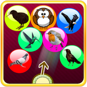 Bird Bubble Shooter icon