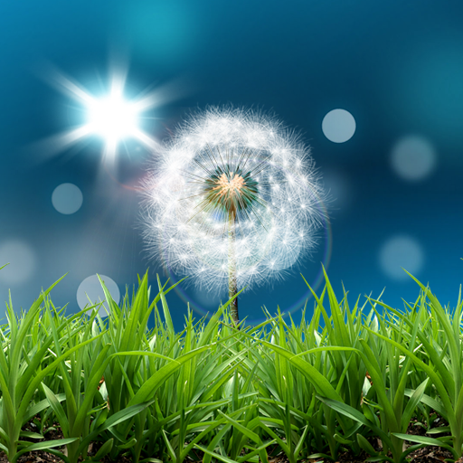 Dandelion Live Wallpaper icon