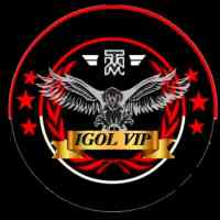IGOL VIP - VPN