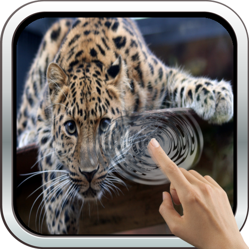 Magic Touch: Leopard Live Wallpaper icon