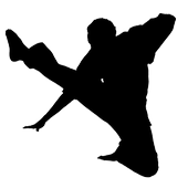 Kung Fu Music Player icon