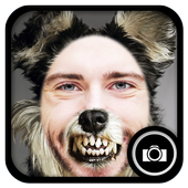 Funny Photo Frame icon