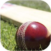 Cricket Match Summary icon