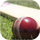 Cricket Match Summary