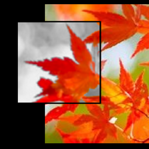 Simple Filter Camera иконка