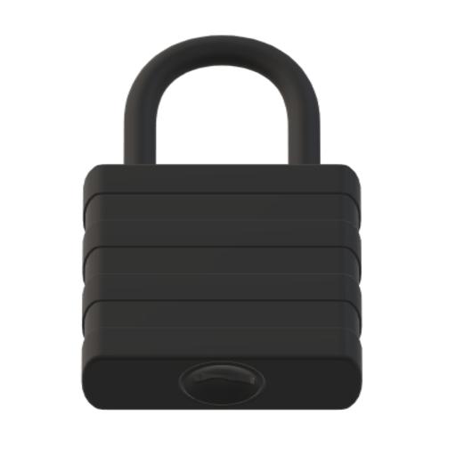 Lock Now icon