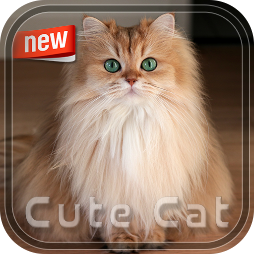 Cute Cat Photoc Frame icon