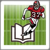 Football 3D playbook