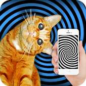 Hypnosis: training cat joke