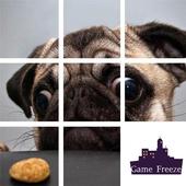 Jigsaw Puzzles Dog icon