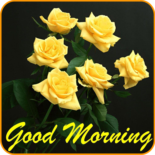 Good morning Images Gifs, Flowers Roses wallpapers иконка