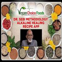 Dr. Sebi Methodology Alkaline Healing Recipe
