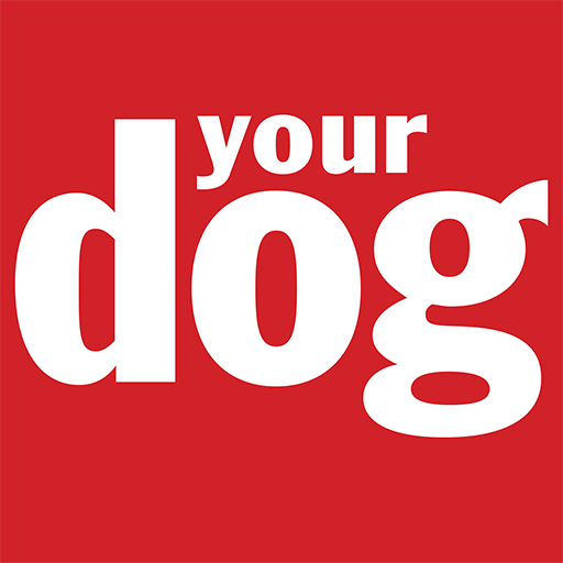 Your Dog Magazine icon