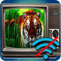 Free TV Offline Prank