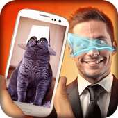 Gato na cara simulator