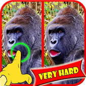 Find Difference Monkey Games icon
