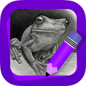 ikon Learn How to Draw Frogs