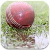DL Calculator for Cricket