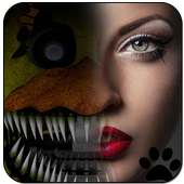 Chica The Chicken Face Morphing on 9Apps