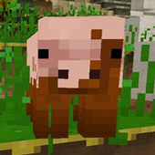 Mini Craft: Adventures icon