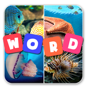 4 Pics One Word icon